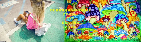 jwh Абаза