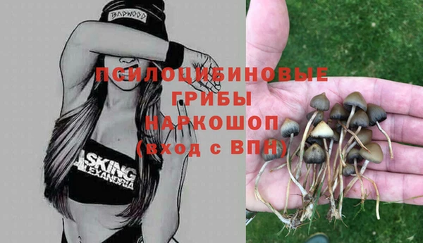 ешки Абдулино