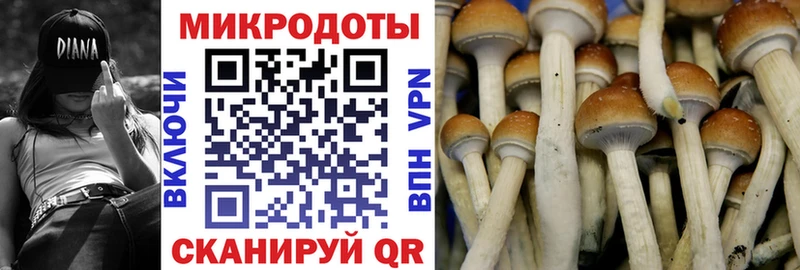Псилоцибиновые грибы прущие грибы  Кедровый 